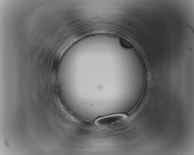 X0000103500993200809262009