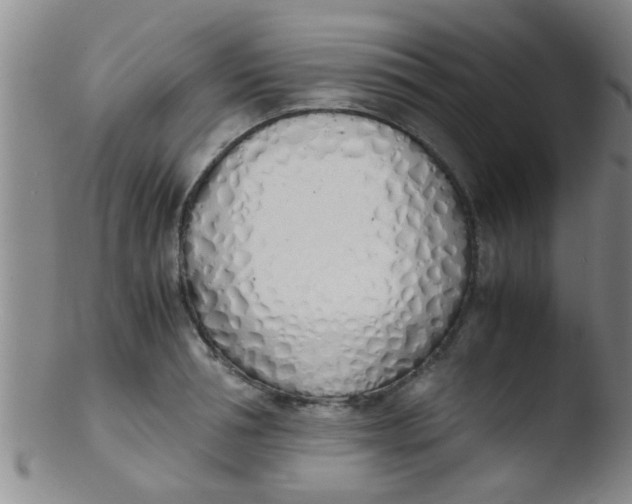 X0000103500994200809262009