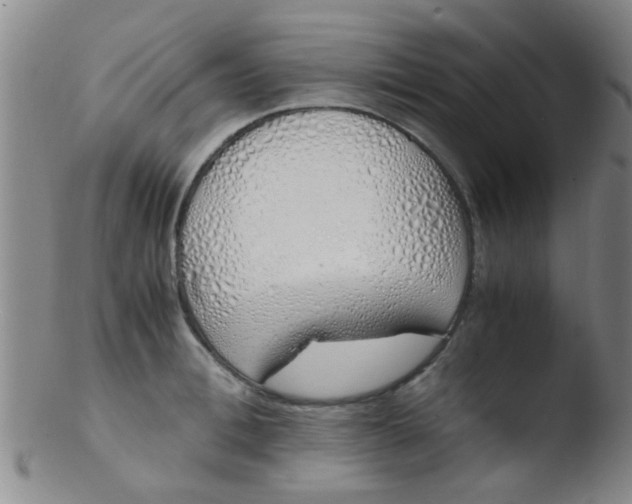 X0000103500996200809262009