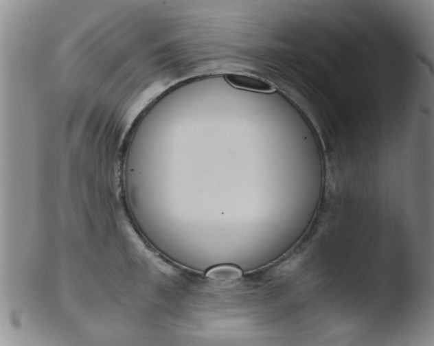 X0000103500997200809262009