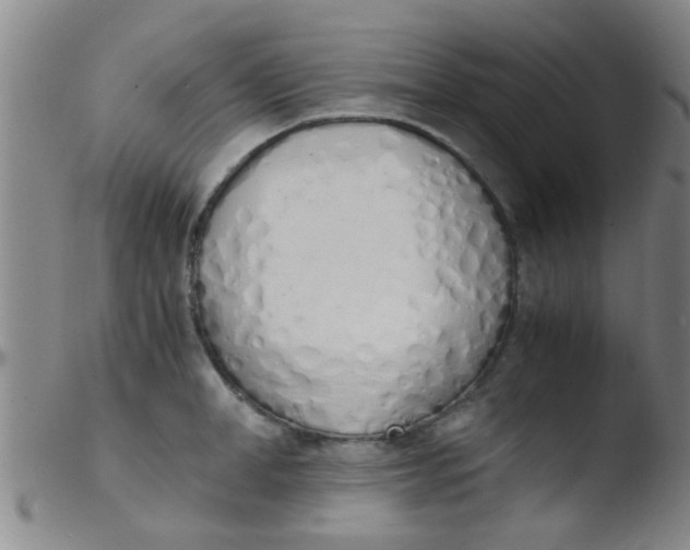 X0000103500998200809262009