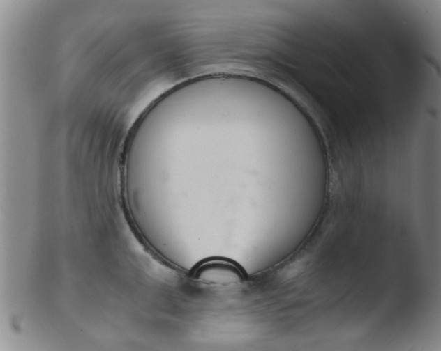 X0000103500999200809262009