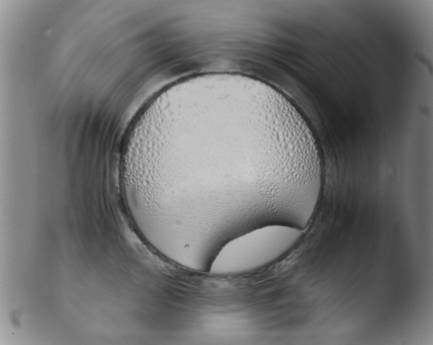 X0000103501000200809262009