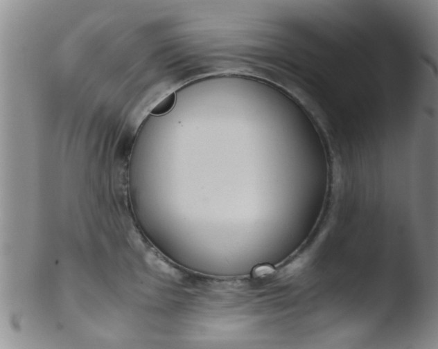 X0000103501001200809262009