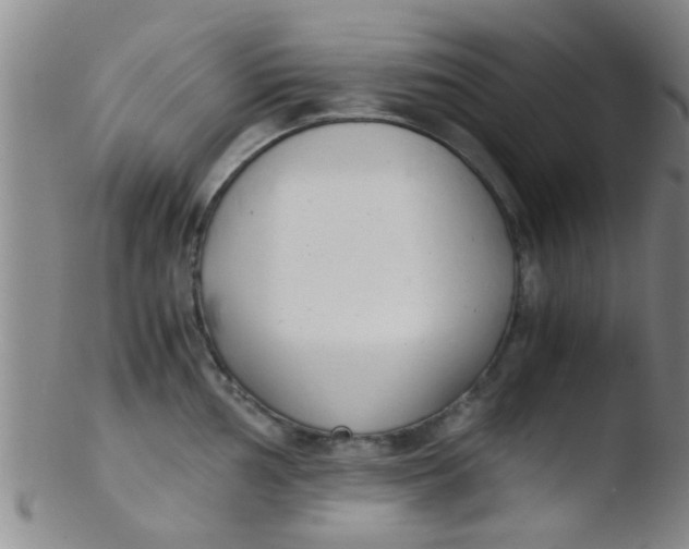 X0000103501002200809262009