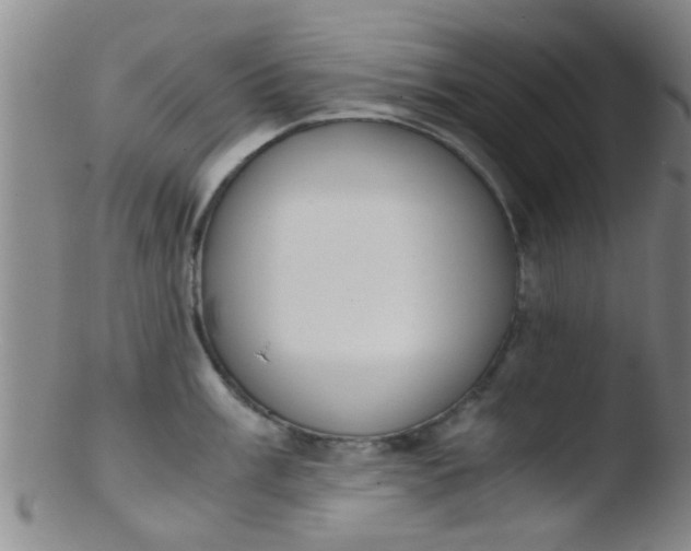 X0000103501003200809262009