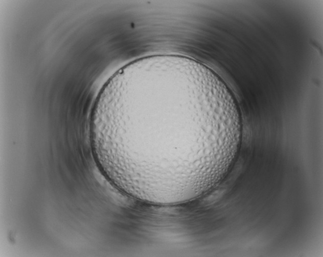 X0000103501004200809262009