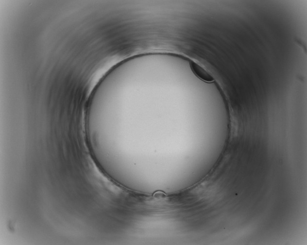 X0000103501006200809262009