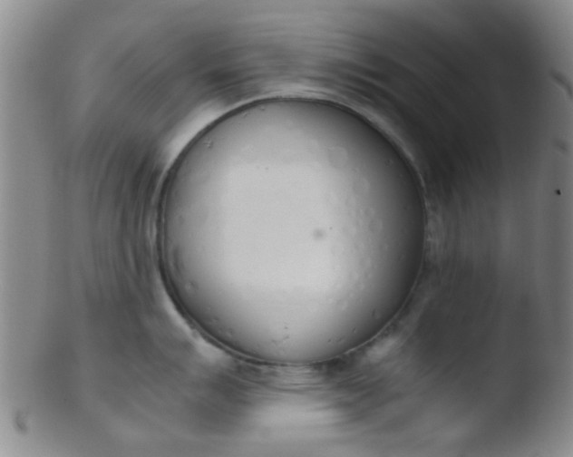 X0000103501007200809262009