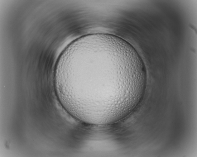 X0000103501008200809262009