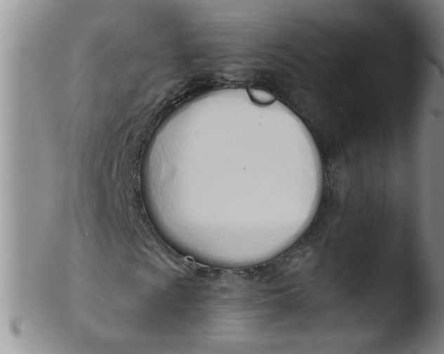 X0000103501009200809262008