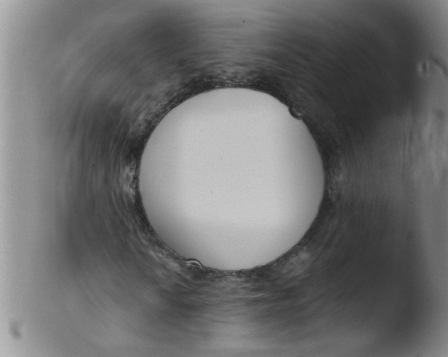 X0000103501010200809262008