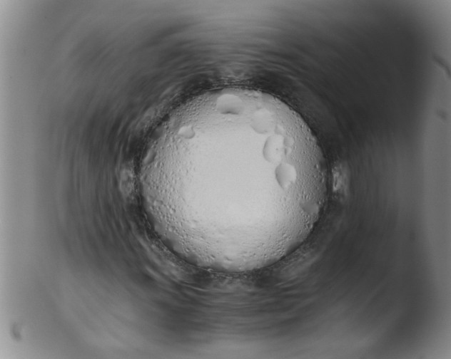 X0000103501011200809262008