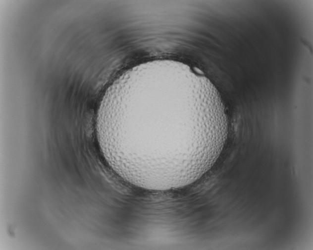 X0000103501012200809262008