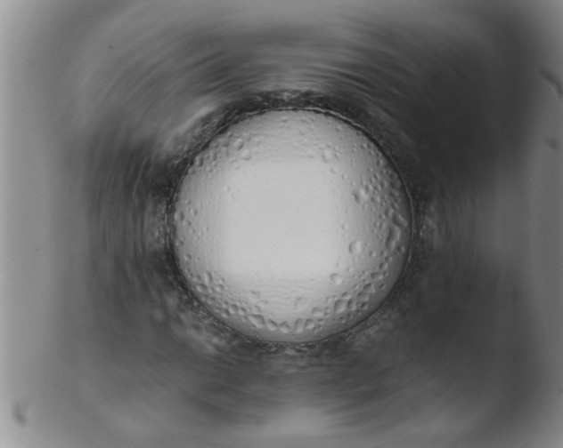 X0000103501014200809262009