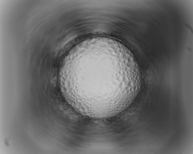 X0000103501015200809262009