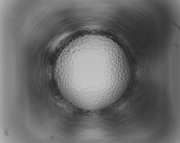 X0000103501016200809262009