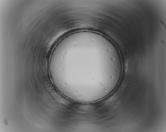 X0000103501021200809262009