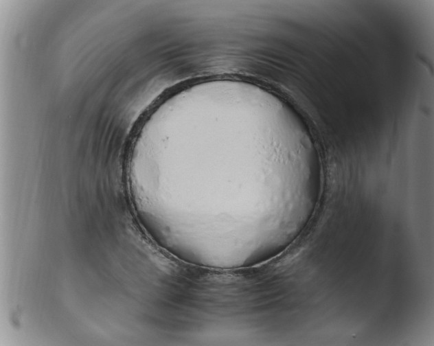 X0000103501023200809262009