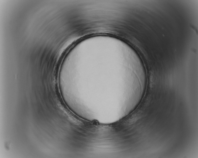 X0000103501024200809262009