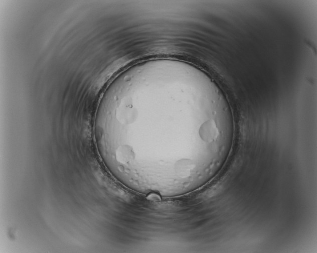 X0000103501025200809262009