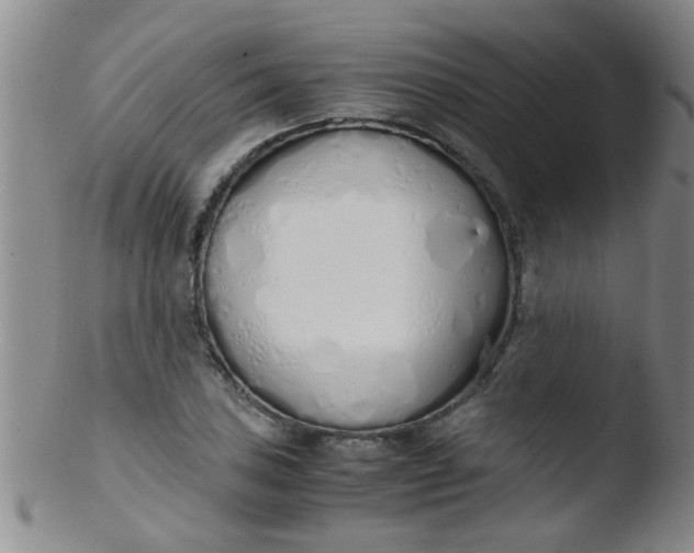 X0000103501027200809262009