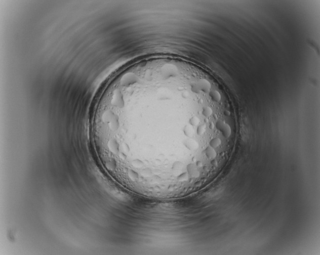 X0000103501028200809262009