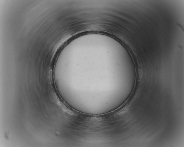 X0000103501029200809262009