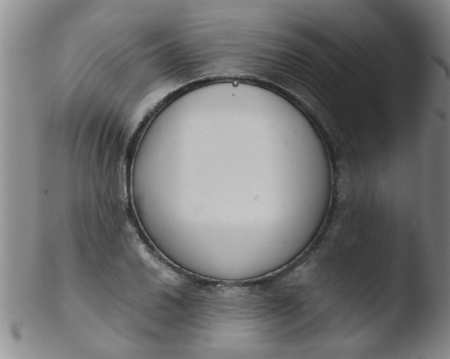 X0000103501030200809262009