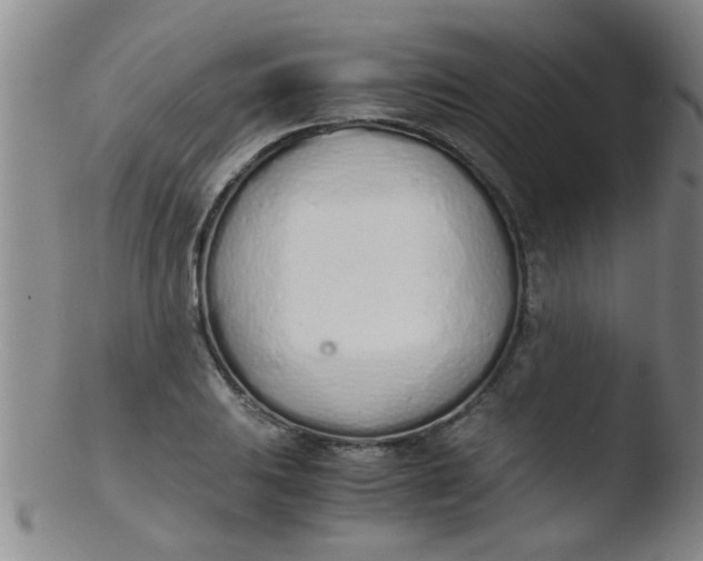 X0000103501031200809262009