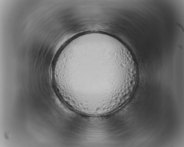 X0000103501032200809262009