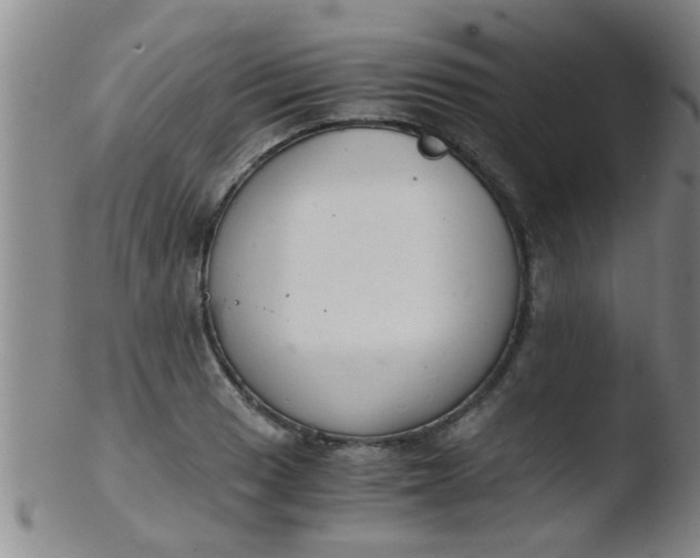 X0000103501033200809262009