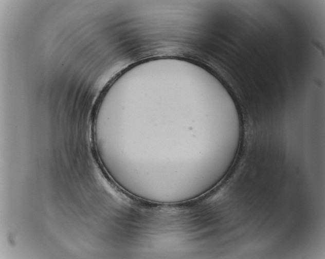 X0000103501034200809262009