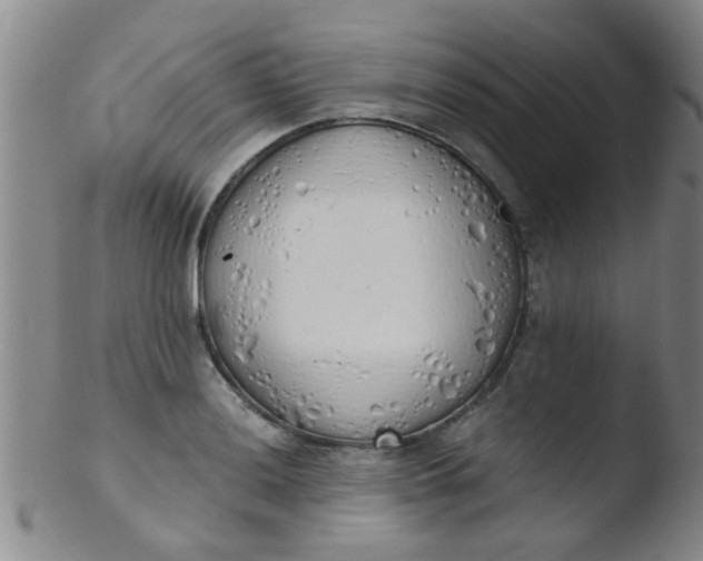 X0000103501036200809262009