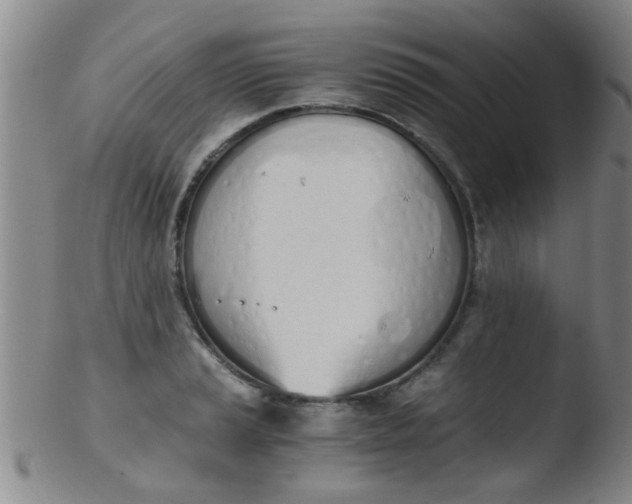 X0000103501037200809262009