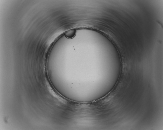 X0000103501038200809262009