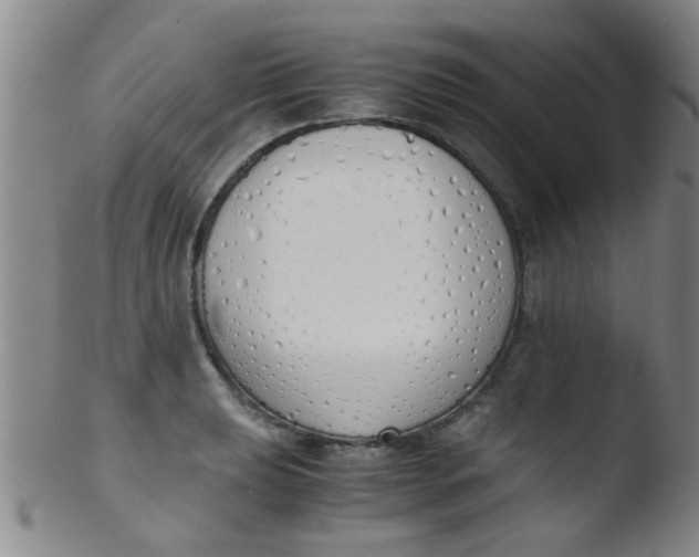 X0000103501039200809262009