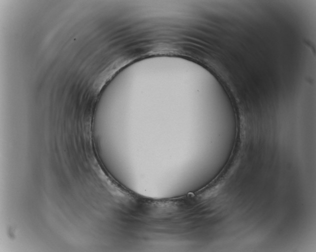 X0000103501041200809262009