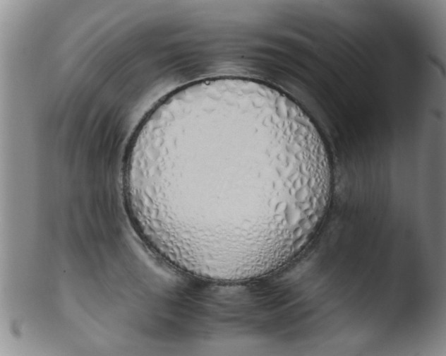 X0000103501043200809262009