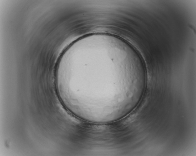 X0000103501045200809262009