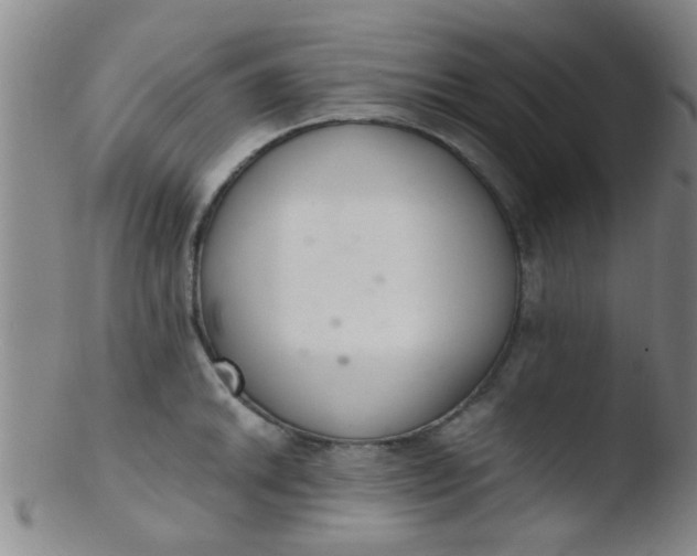 X0000103501046200809262009