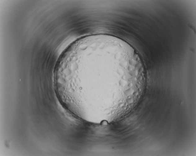 X0000103501047200809262009