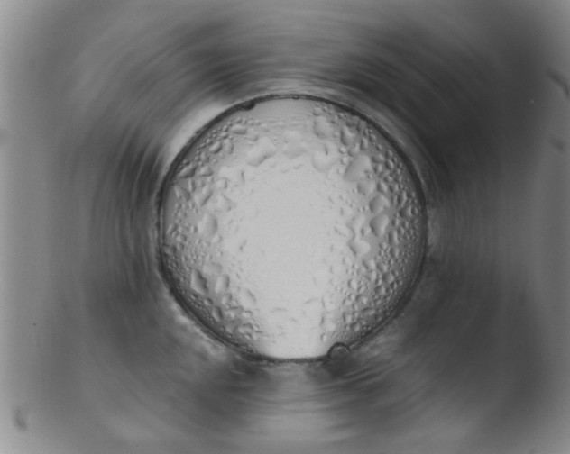 X0000103501048200809262009