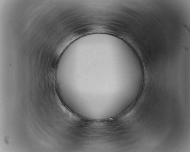 X0000103501049200809262009