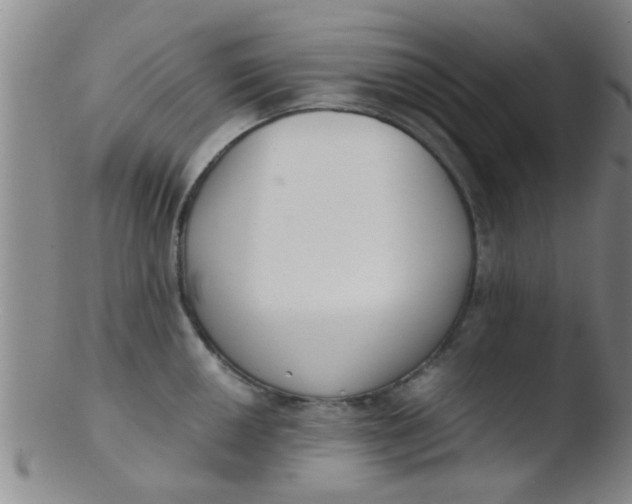 X0000103501050200809262009