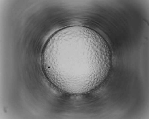 X0000103501051200809262009