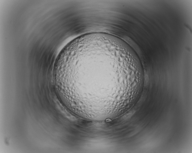 X0000103501052200809262009