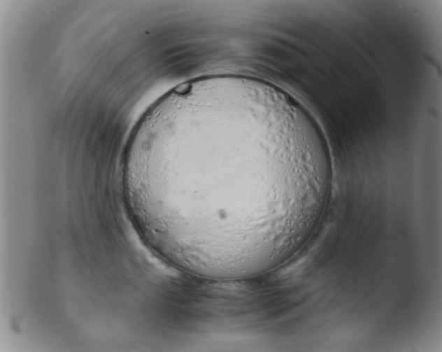 X0000103501053200809262009