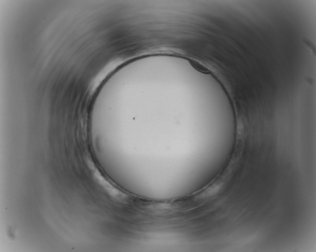 X0000103501054200809262009