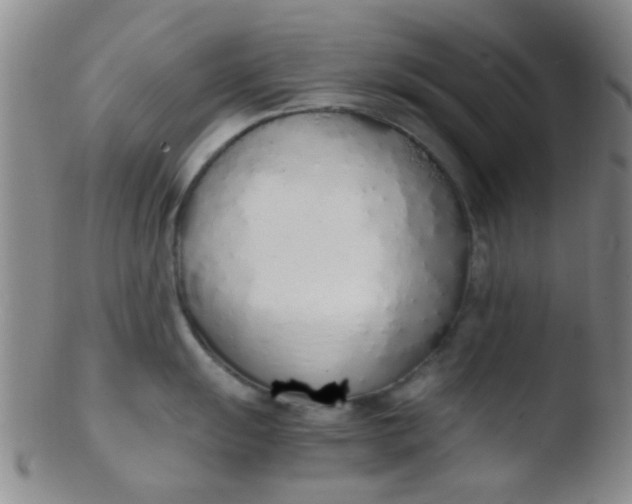 X0000103501055200809262009